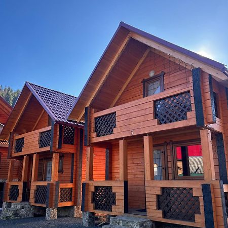 Орхідея Luxe 1 Apartment Synevyrs'ka Polyana Exterior photo